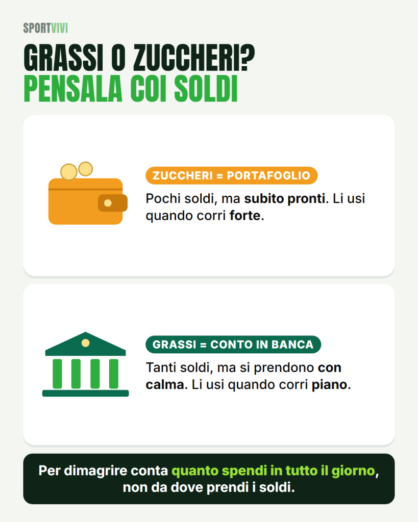 Infografica: gli zuccheri sono il portafoglio e si usano correndo forte, i grassi sono il conto in banca e si usano correndo piano